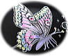 蝶デザインのウェルカムボード